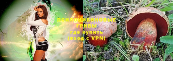 дмт Арсеньев
