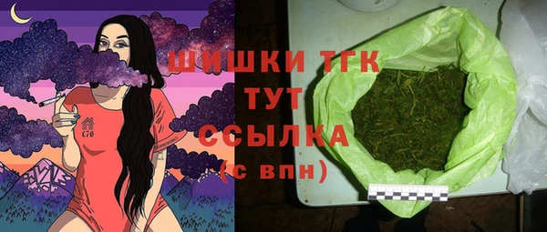 дмт Арсеньев