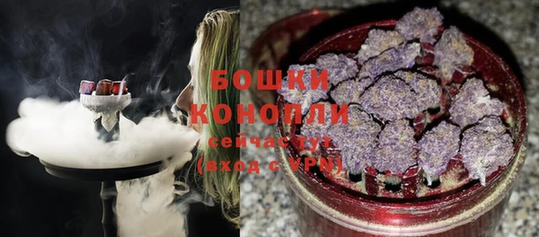 дмт Арсеньев